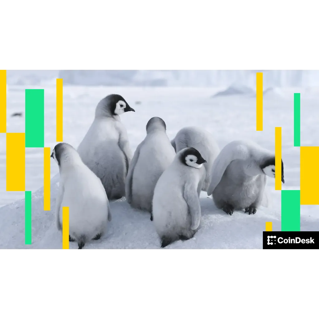BTC Price Declines as PENGU Open Interest Increases BTC Price Declines as PENGU Open Interest Increases