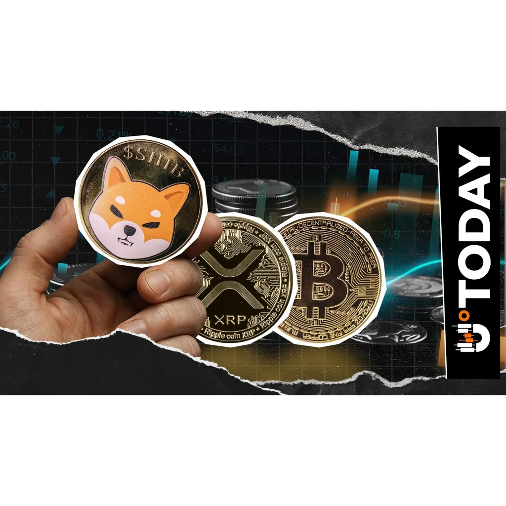 Shiba Inu Open Interest Surges Against Bitcoin and XRP Shiba Inu Open Interest Surges Against Bitcoin and XRP