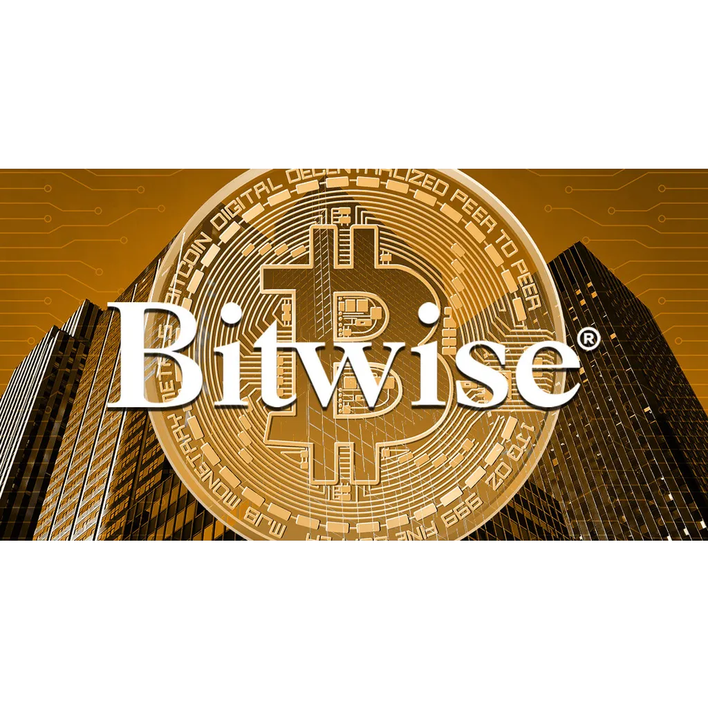 Bitwise CEO borrowing against digital assets as next crypto trend Bitwise CEO borrowing against digital assets as next crypto trend
