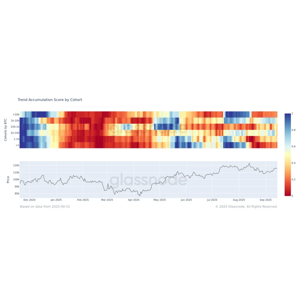 BTC Cohorts Return to Net Selling During Market Consolidation BTC Cohorts Return to Net Selling During Market Consolidation