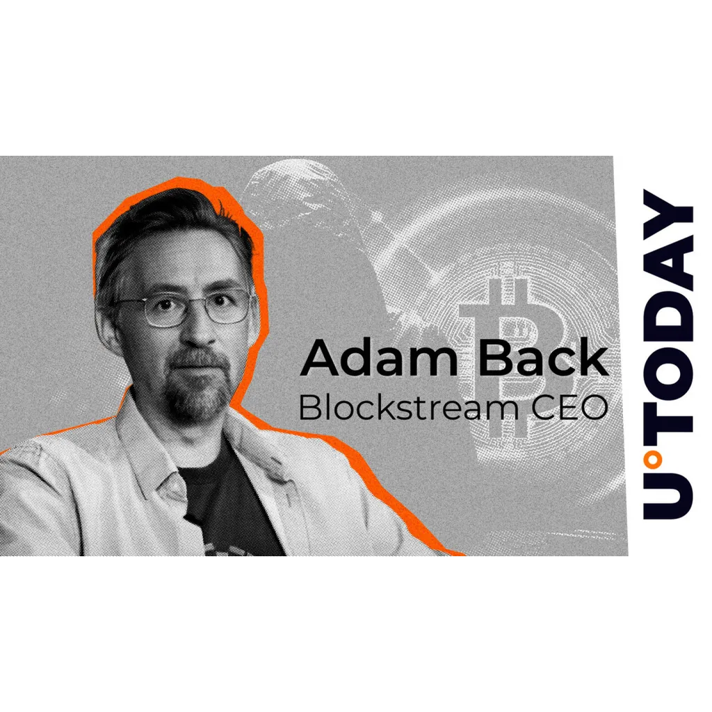 Adam Back Sees Silver Lining in Massive Bitcoin Price Plunge Adam Back Sees Silver Lining in Massive Bitcoin Price Plunge