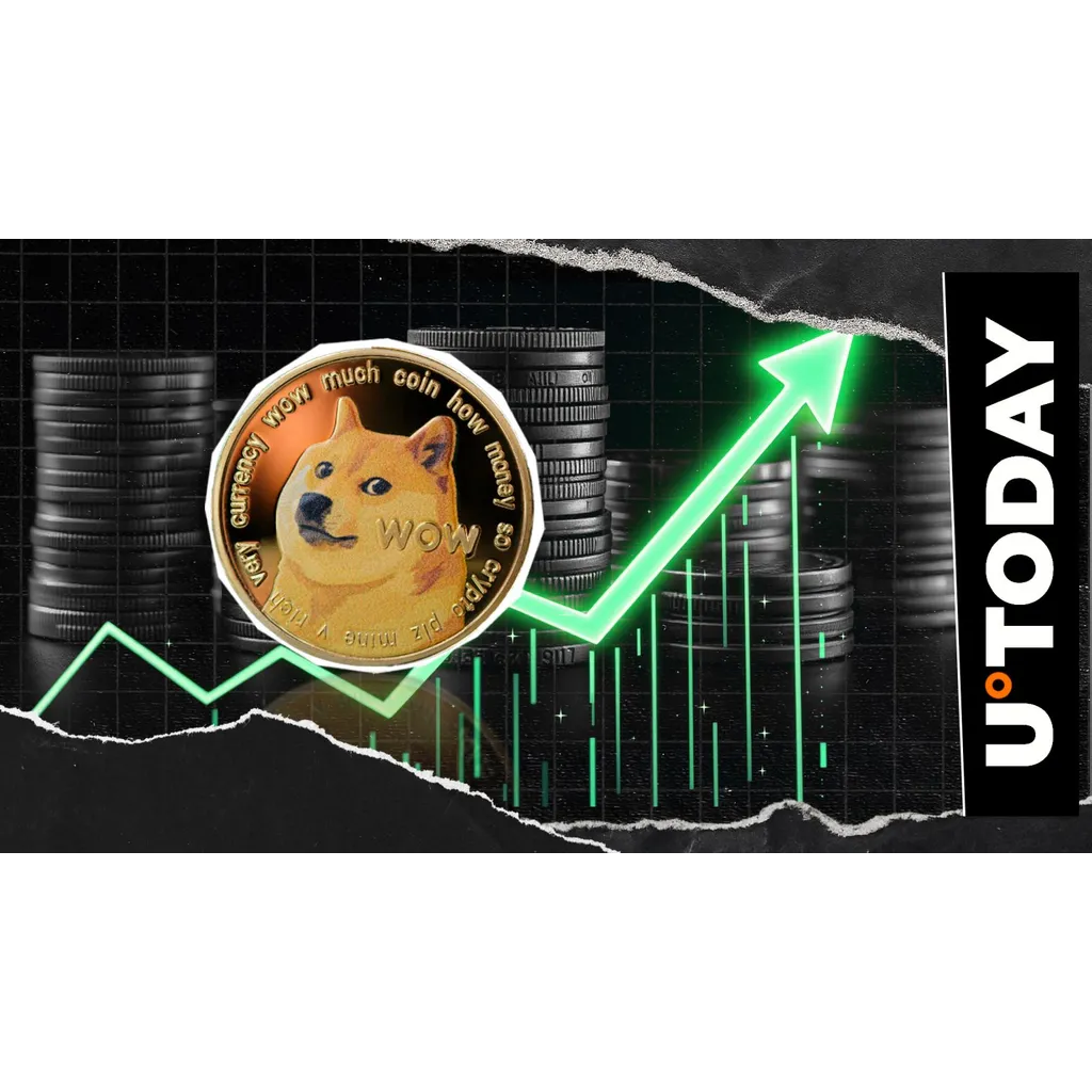Analyst Dogecoin Surge After 42 Percent Increase Analyst Dogecoin Surge After 42 Percent Increase