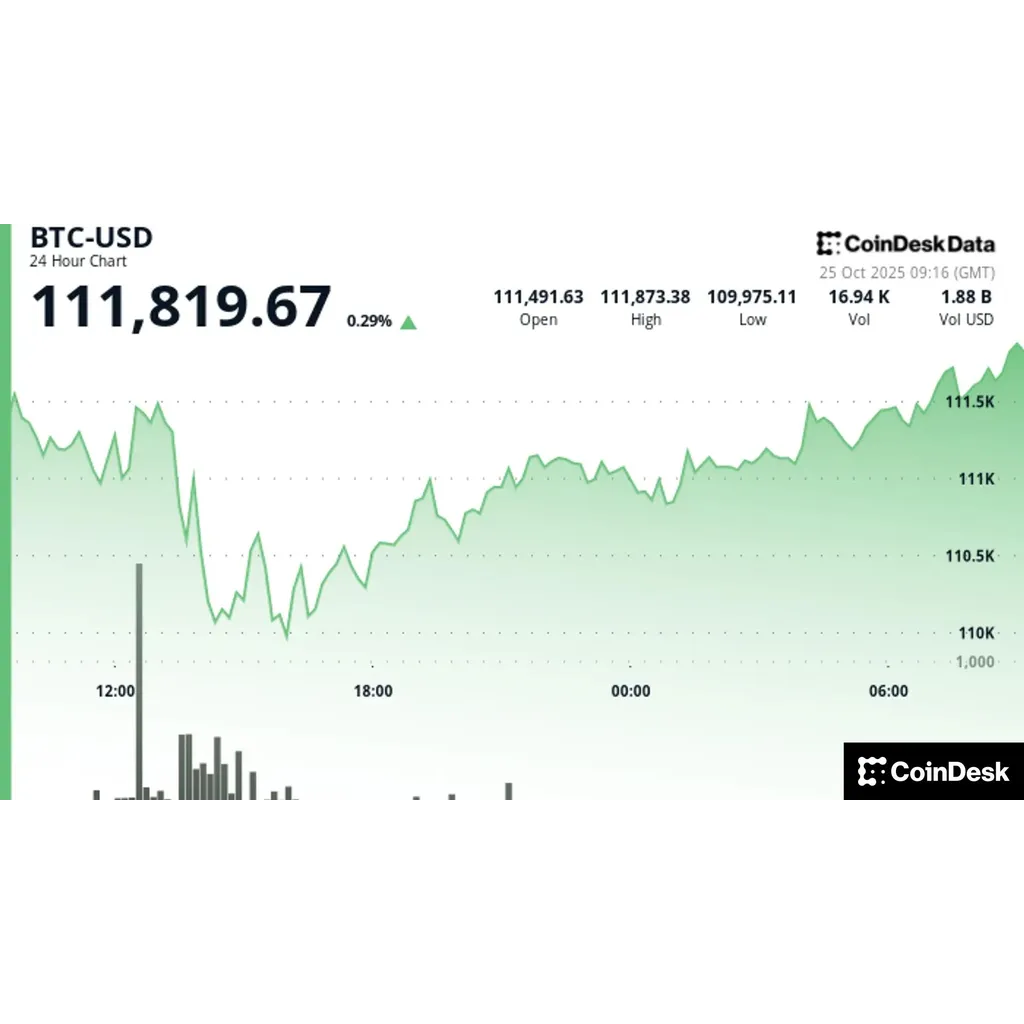 Bitcoin holds above 1,000 as traders await market breakout Bitcoin holds above 1,000 as traders await market breakout