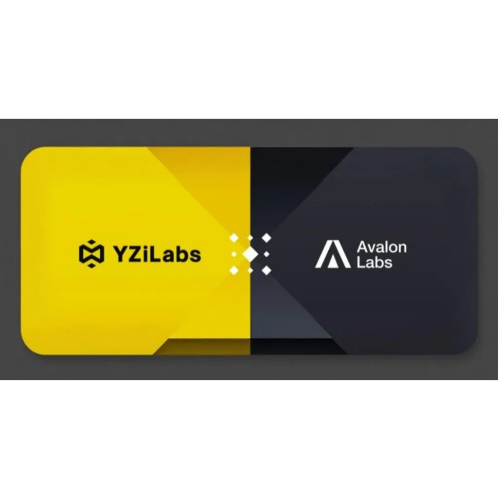 YZi Labs invests in Avalon Labs to advance Bitcoin-powered finance YZi Labs invests in Avalon Labs to advance Bitcoin-powered finance