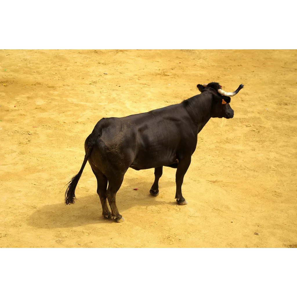 XRP Holders Labeled ‘Uneducated Perma Bulls’ By Veteran Trader XRP Holders Labeled ‘Uneducated Perma Bulls’ By Veteran Trader