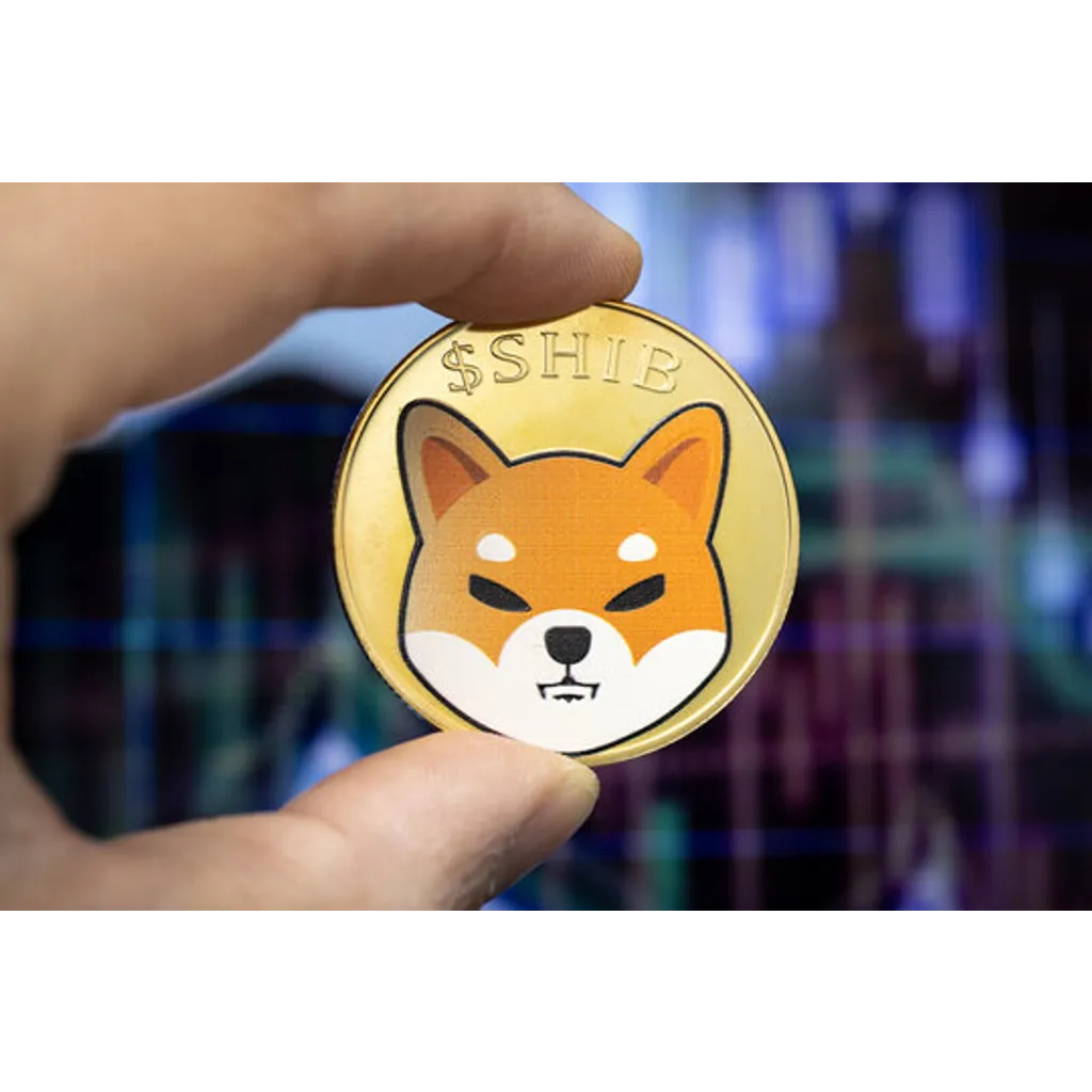 Shiba Inu bullish reversal signals 570% price surge to alt= Shiba Inu bullish reversal signals 570% price surge to alt=