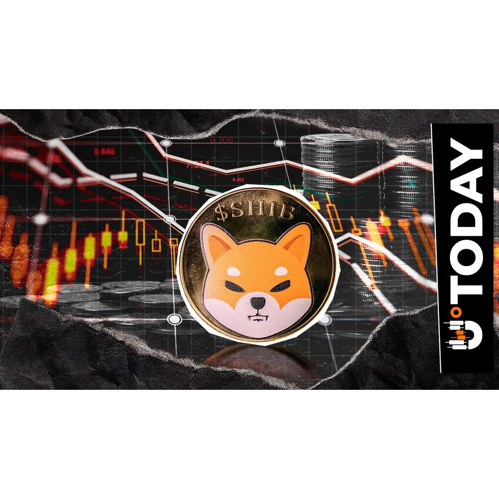 Extreme Shiba Inu Anomaly or On-Chain Error: 23,561,900,000,000 SHIB in 24 Hours Extreme Shiba Inu Anomaly or On-Chain Error: 23,561,900,000,000 SHIB in 24 Hours
