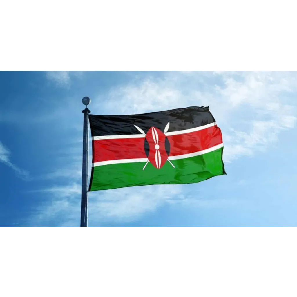 Kenya passes bill to regulate Bitcoin and cryptocurrencies Kenya passes bill to regulate Bitcoin and cryptocurrencies