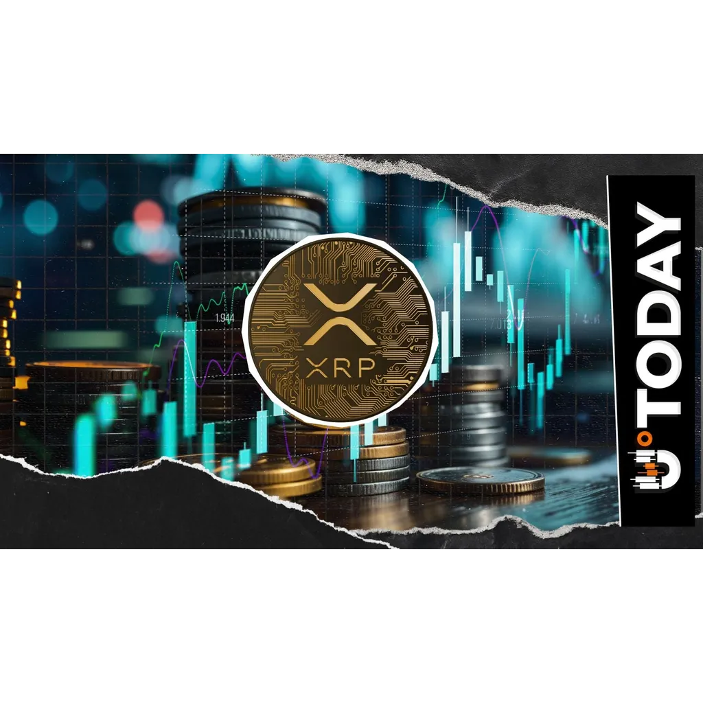 XRP key metric spikes despite concurrent price drawdown according to report XRP key metric spikes despite concurrent price drawdown according to report