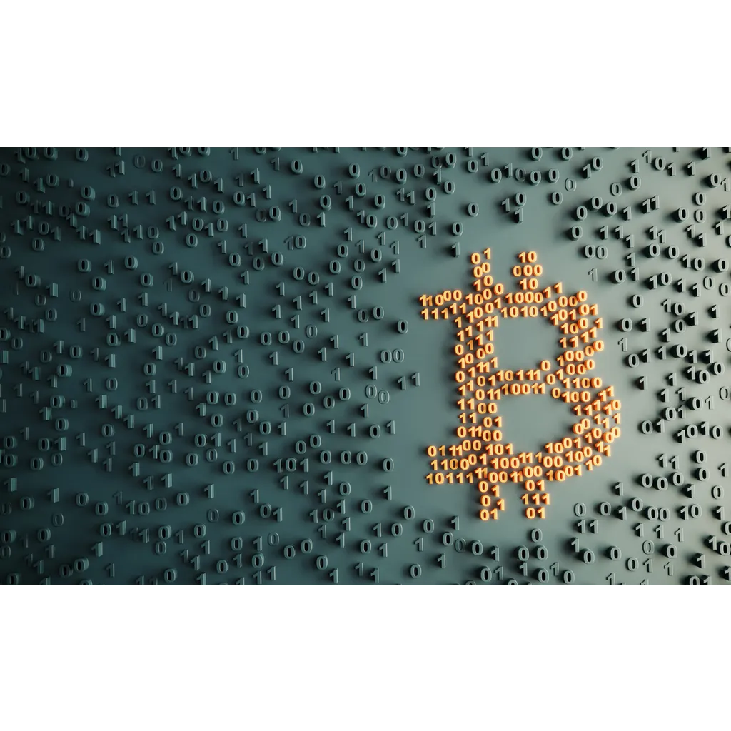 Spot Bitcoin ETFs show major divergence in capital inflows across providers Spot Bitcoin ETFs show major divergence in capital inflows across providers