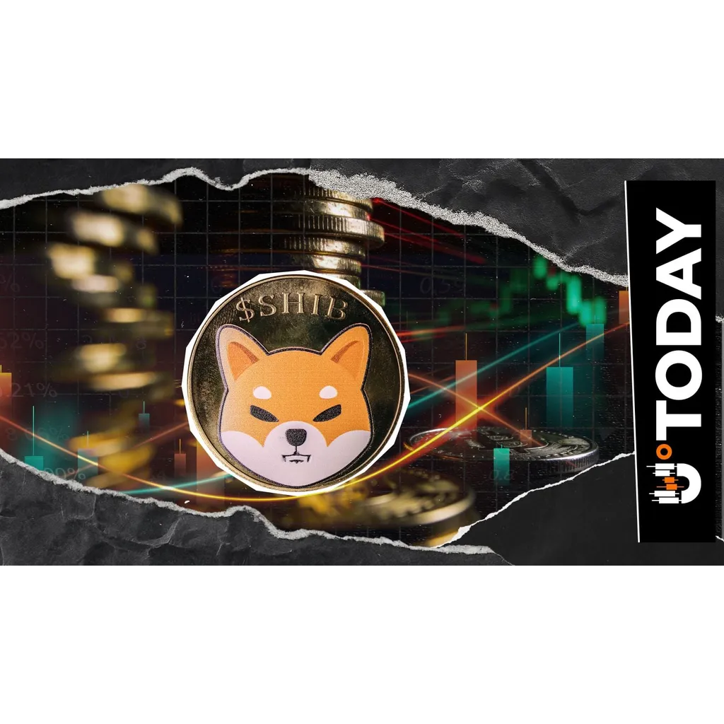 -117 Billion Shiba Inu (SHIB) in 24 Hours Flew out of Exchanges: Selling Pressure Easing -117 Billion Shiba Inu (SHIB) in 24 Hours Flew out of Exchanges: Selling Pressure Easing