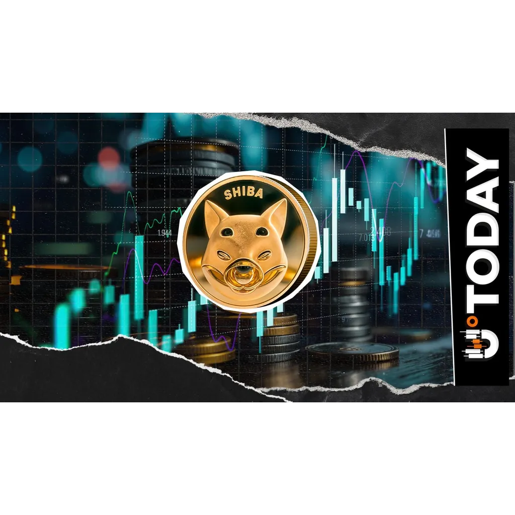 212,479,300,000 SHIB: Key Shiba Inu Metric Says Demand Is Back 212,479,300,000 SHIB: Key Shiba Inu Metric Says Demand Is Back