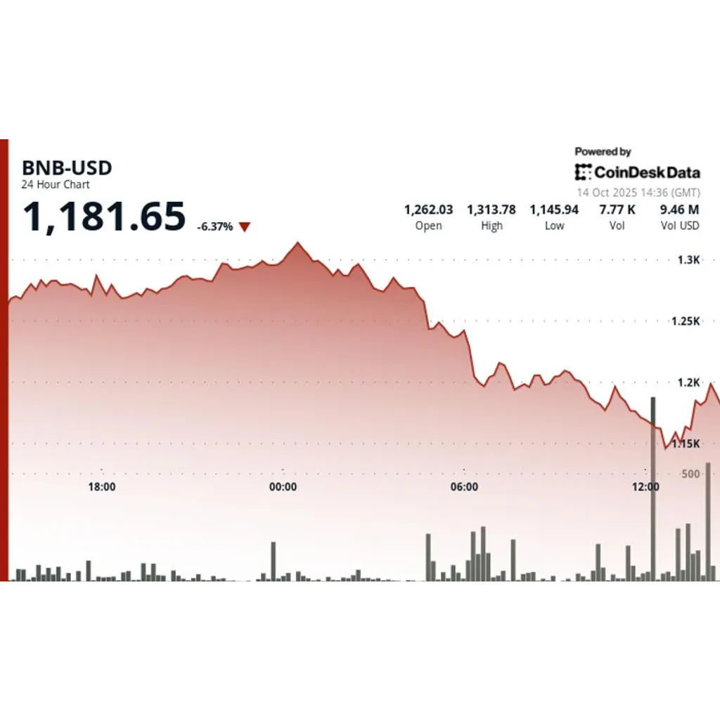 BNB slides 6.5 percent after hitting all-time high following crypto rout BNB slides 6.5 percent after hitting all-time high following crypto rout