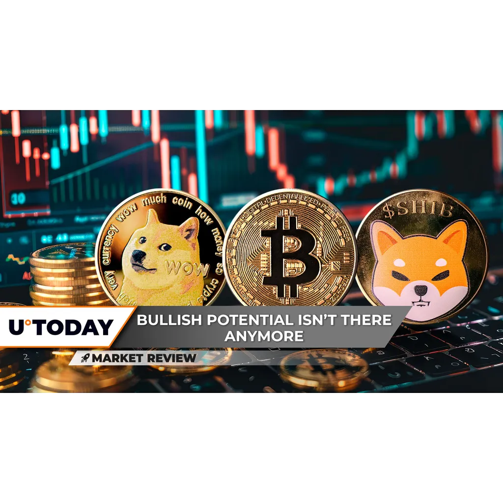 Bitcoin drops 15% from 0,000 as Dogecoin and Shiba Inu face critical support tests in June 2023 Bitcoin drops 15% from 0,000 as Dogecoin and Shiba Inu face critical support tests in June 2023