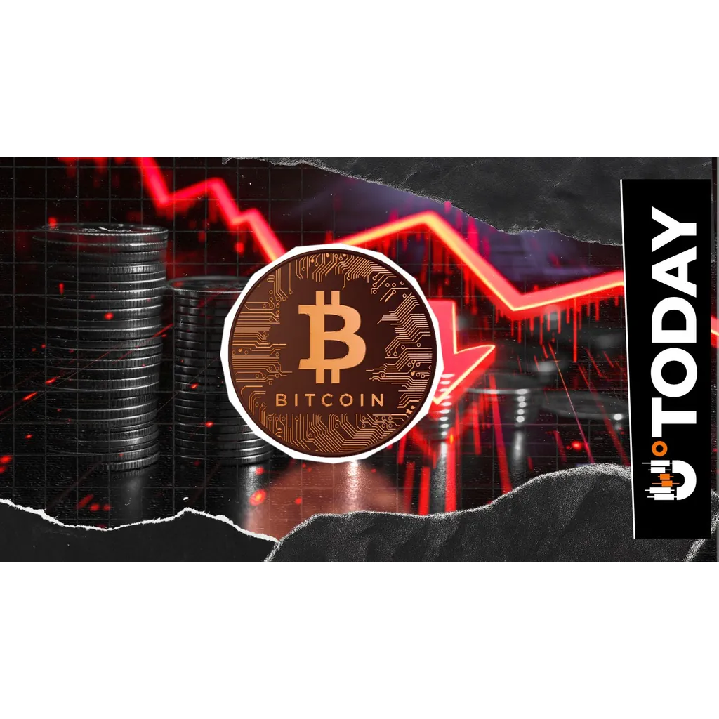 Bitwise Advisor Explains Enormous Crypto Crash Bitwise Advisor Explains Enormous Crypto Crash