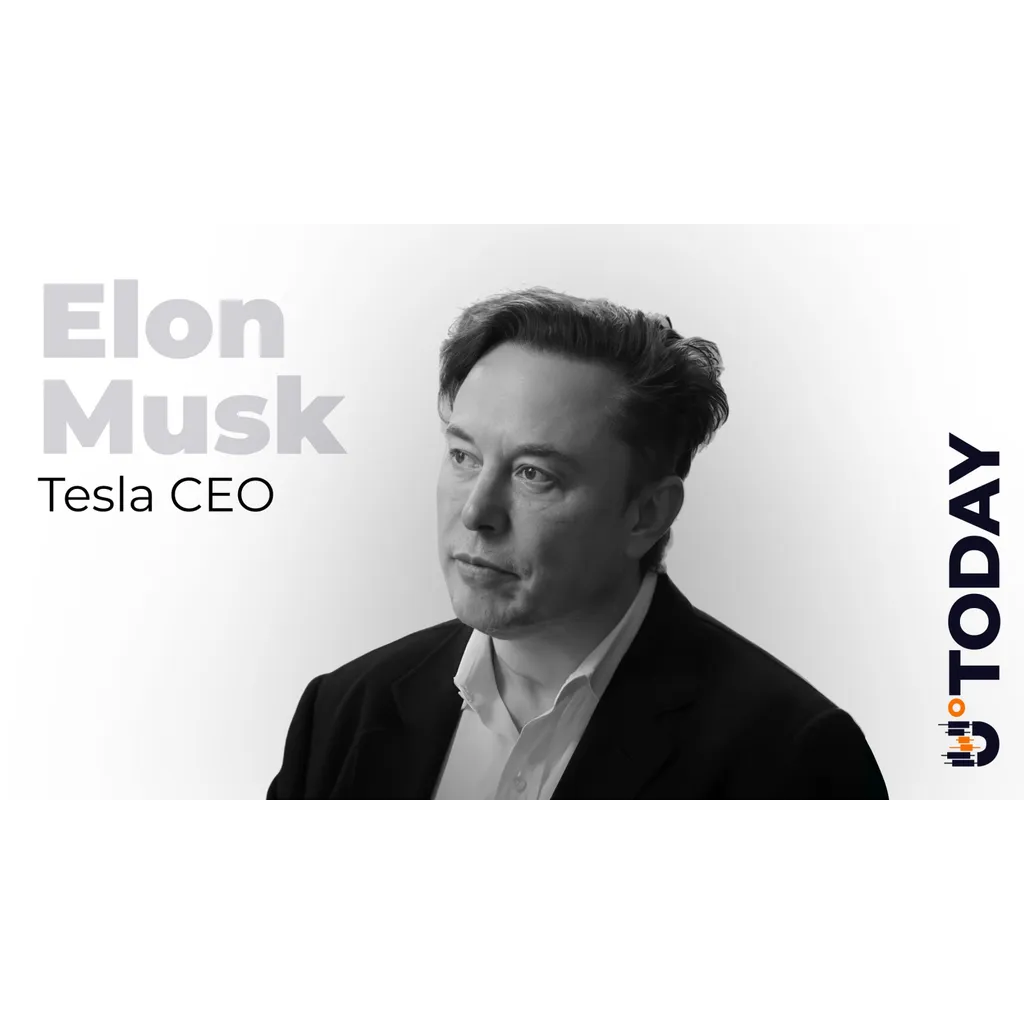 Is Bitcoin Future Currency? Elon Musk Might Be Hinting at That; Community Reacts Is Bitcoin Future Currency? Elon Musk Might Be Hinting at That; Community Reacts