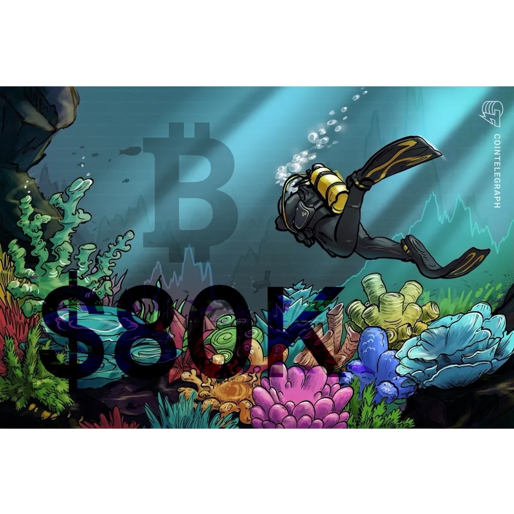Analyst sees 91 percent chance Bitcoin weekly bottom is confirmed Analyst sees 91 percent chance Bitcoin weekly bottom is confirmed
