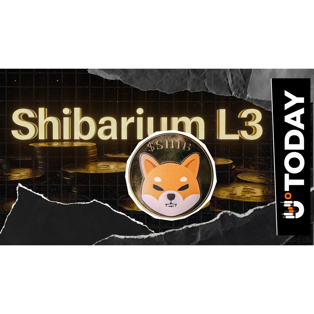 Shibarium L3 ‘Currently Under Testing’: When Is Mainnet Launch? Shibarium L3 ‘Currently Under Testing’: When Is Mainnet Launch?