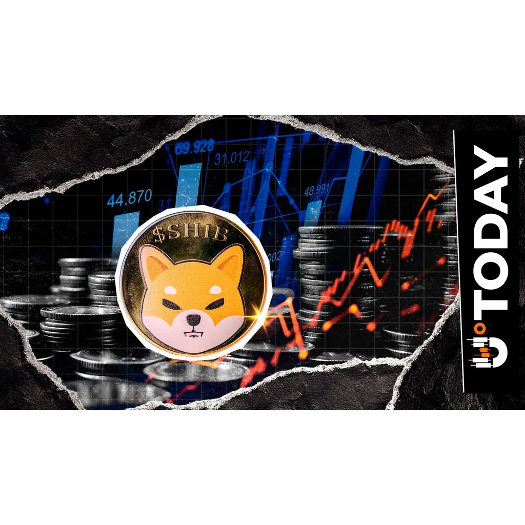 81,500,000,000,000 SHIB Reason Why Shiba Inu Cannot Rally 81,500,000,000,000 SHIB Reason Why Shiba Inu Cannot Rally