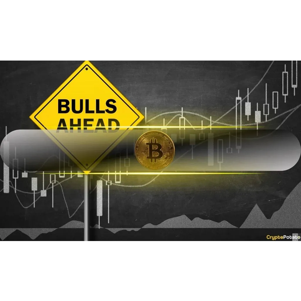 Analysts See Major Bull Run Ahead Despite Market Meltdown Analysts See Major Bull Run Ahead Despite Market Meltdown