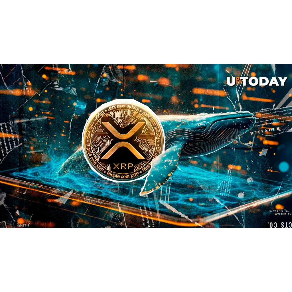 XRP millionaires sold billion as price dropped in recent market activity XRP millionaires sold billion as price dropped in recent market activity