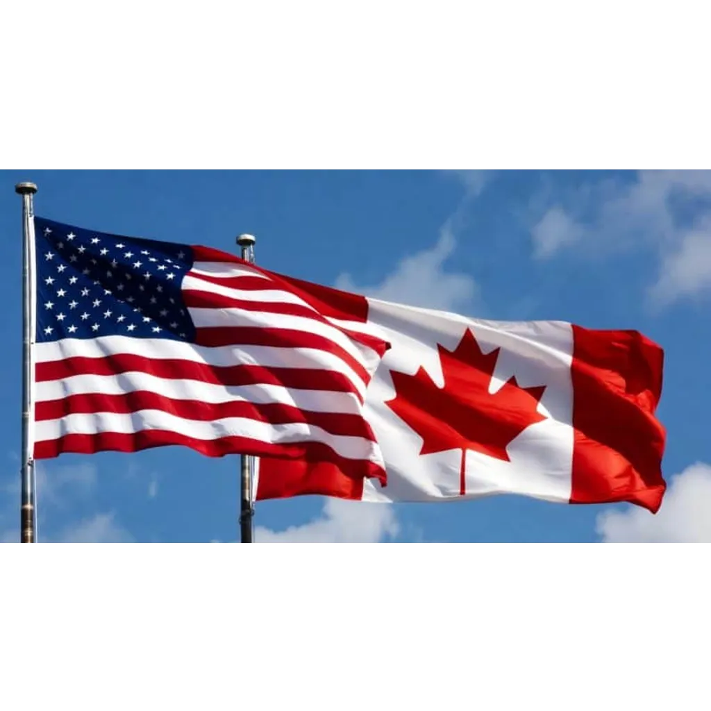 Trump threatens 100% tariff on Canadian goods over China deal Trump threatens 100% tariff on Canadian goods over China deal