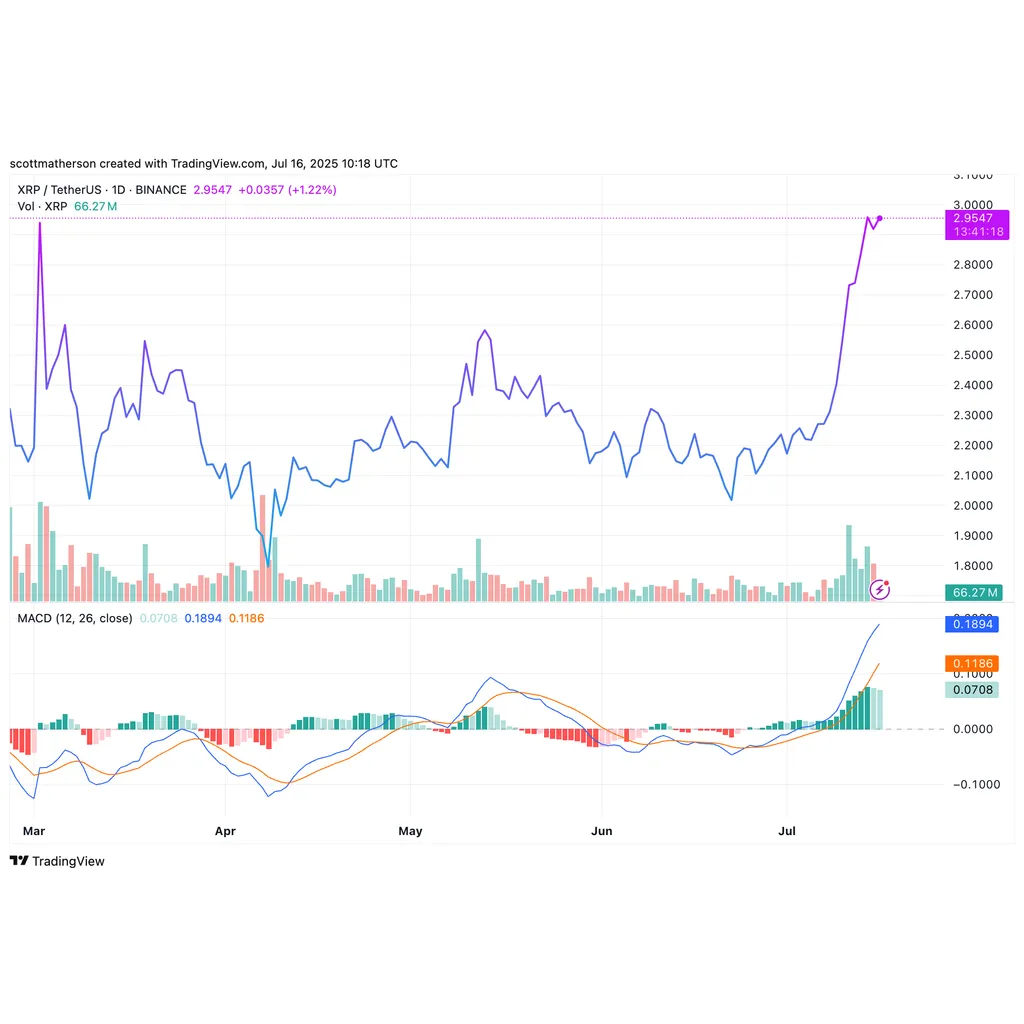 Ripple CTO Says XRP Price Doesn’t Correlate With ‘True Value’ — What This Means | Bitcoinist.com Ripple CTO Says XRP Price Doesn’t Correlate With ‘True Value’ — What This Means | Bitcoinist.com