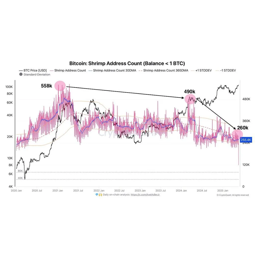 Bitcoin Shrimp Addresses Holding Less Than 1 BTC Drop to 260K from 590K Peak – “The Defiant” Bitcoin Shrimp Addresses Holding Less Than 1 BTC Drop to 260K from 590K Peak – “The Defiant”