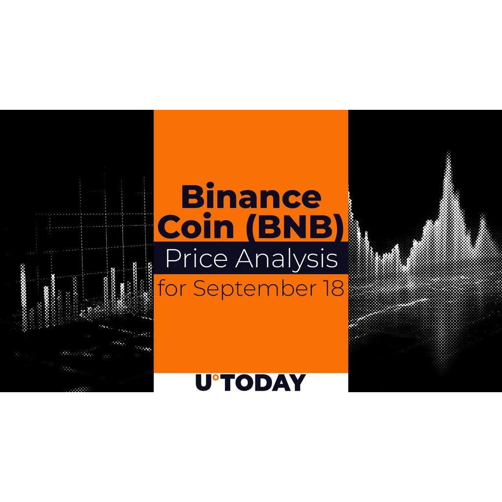 Binance Coin Price Prediction Issued for September 18 Date Binance Coin Price Prediction Issued for September 18 Date