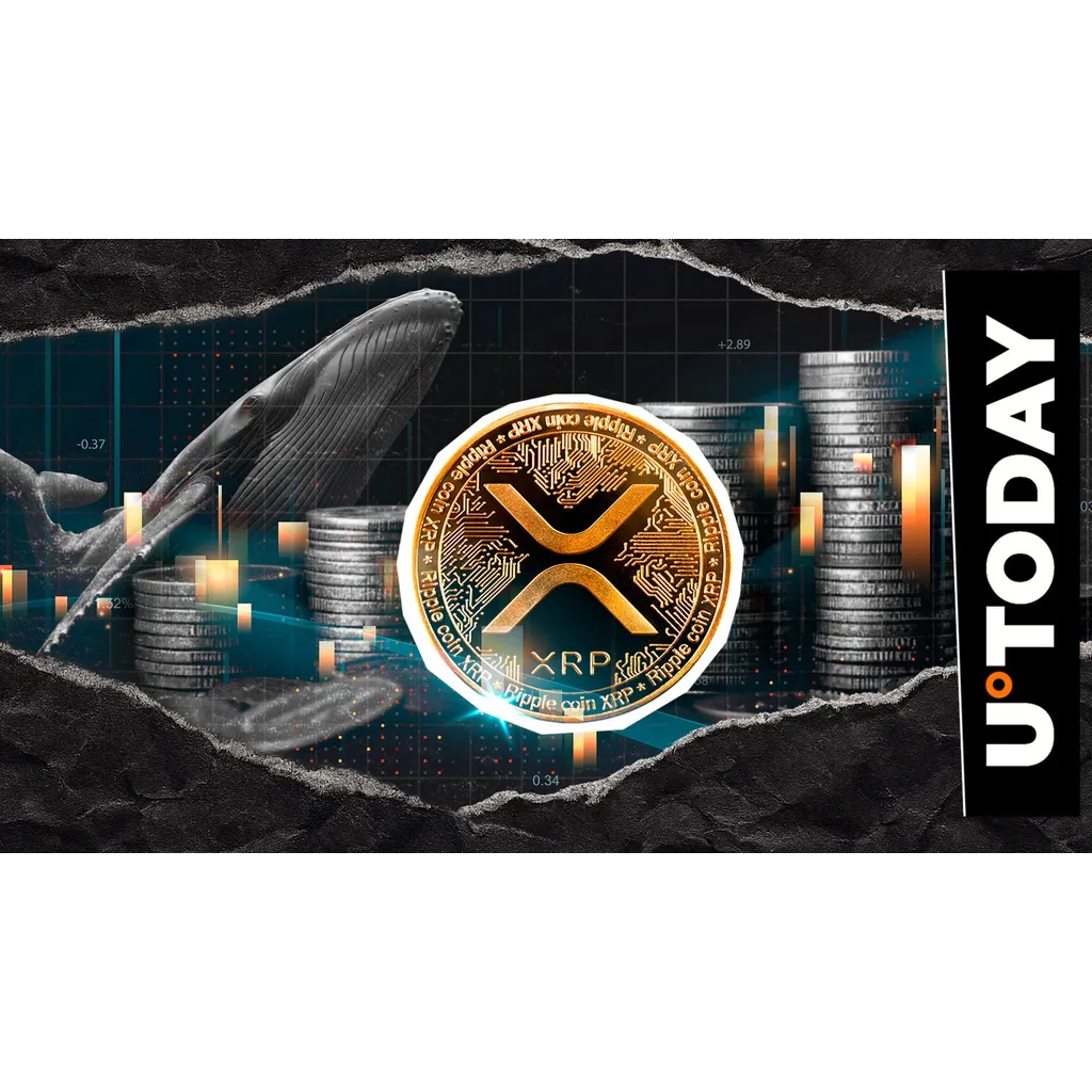 XRP sees 0 million in 14 days with bearish trend building XRP sees 0 million in 14 days with bearish trend building