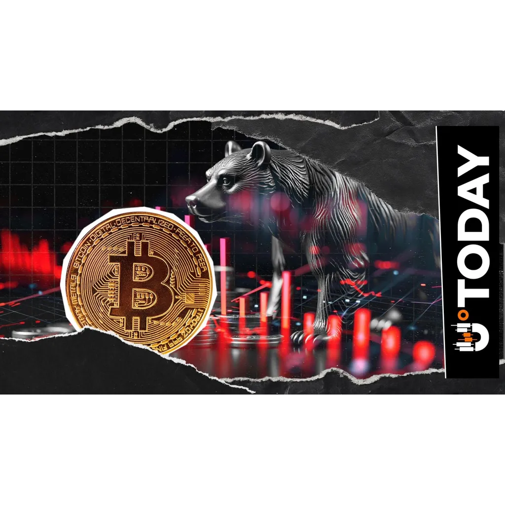 Willy Woo Updates Bitcoin Outlook: Why Bearish Trend Could Persist Through Spring Willy Woo Updates Bitcoin Outlook: Why Bearish Trend Could Persist Through Spring
