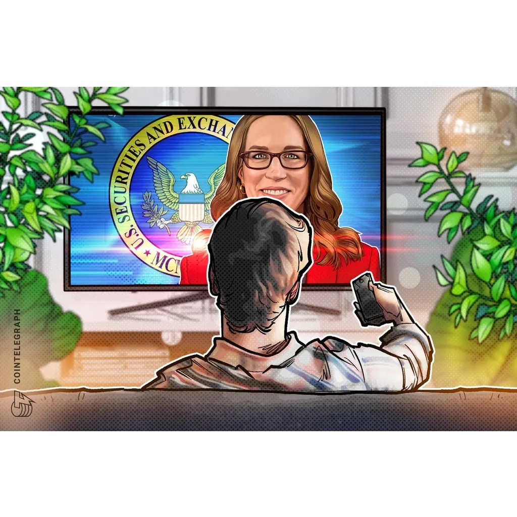 Securities laws go beyond simple definitions — SEC Commissioner Securities laws go beyond simple definitions — SEC Commissioner