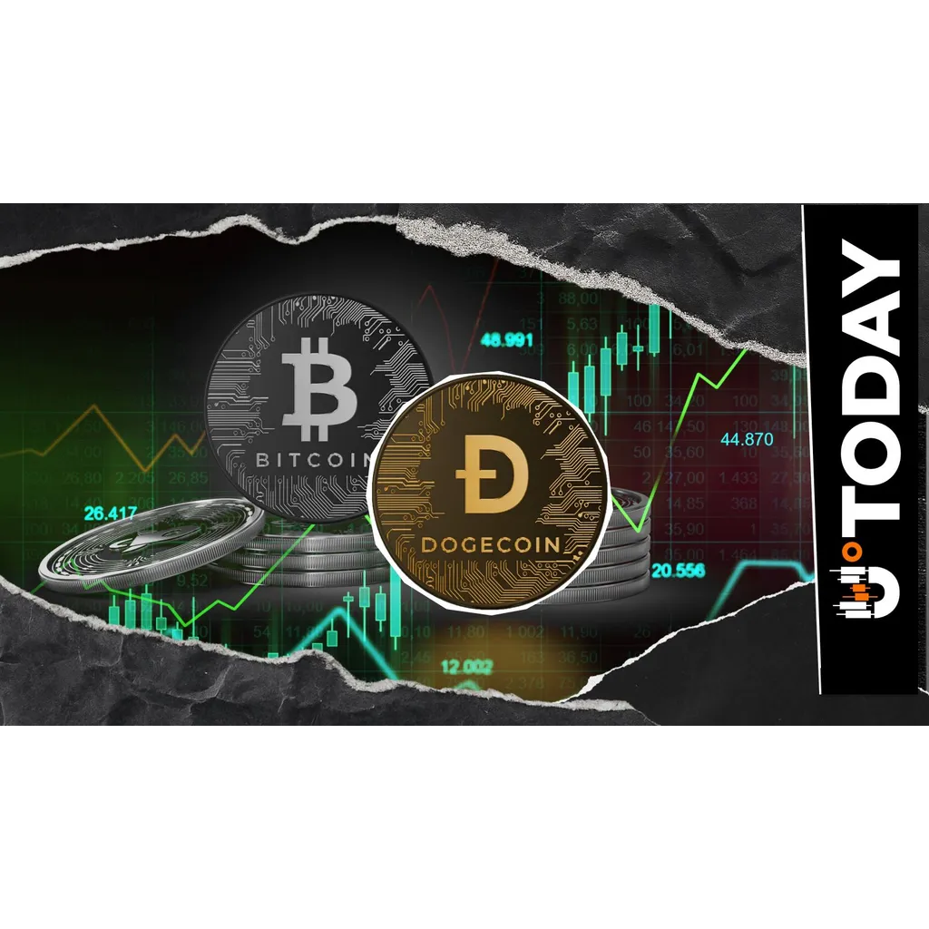 Dogecoin Outshines Bitcoin With 23,354% Hourly Liquidation Imbalance Dogecoin Outshines Bitcoin With 23,354% Hourly Liquidation Imbalance