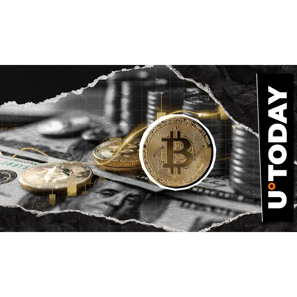 Bitcoin reach 6000 or 8000 according to 0 million source Bitcoin reach 6000 or 8000 according to 0 million source