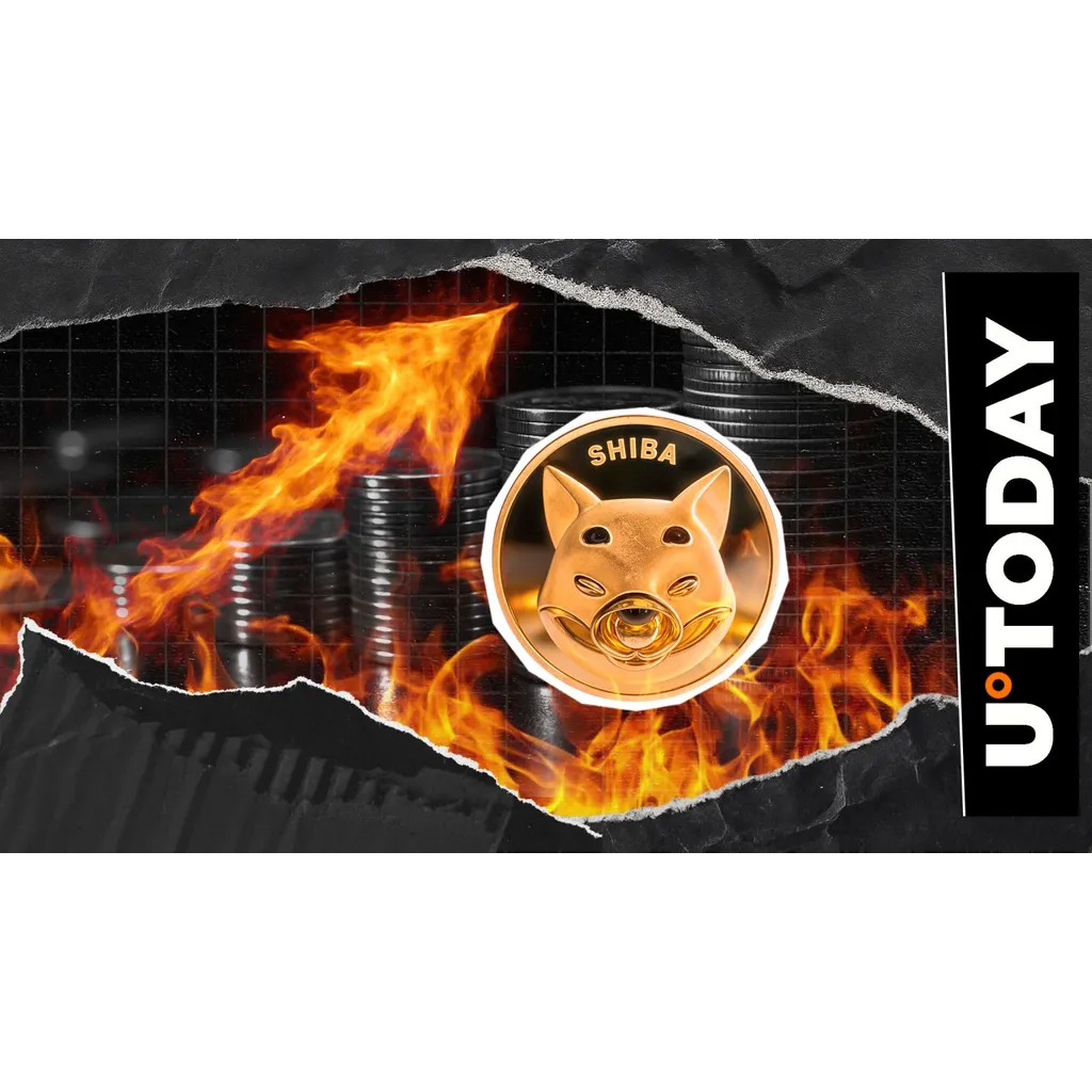 Shiba Inu SHIB burn rate surged 201,207% in 2024 reducing token supply Shiba Inu SHIB burn rate surged 201,207% in 2024 reducing token supply