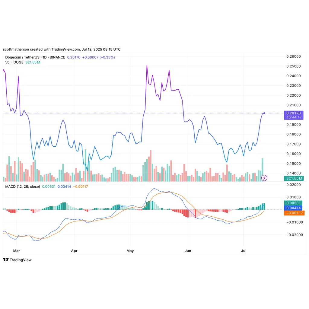 Dogecoin Megaphone Pattern Confirms Price Blowup, ‘Don’t Miss This Last Rally’—Analyst Dogecoin Megaphone Pattern Confirms Price Blowup, ‘Don’t Miss This Last Rally’—Analyst
