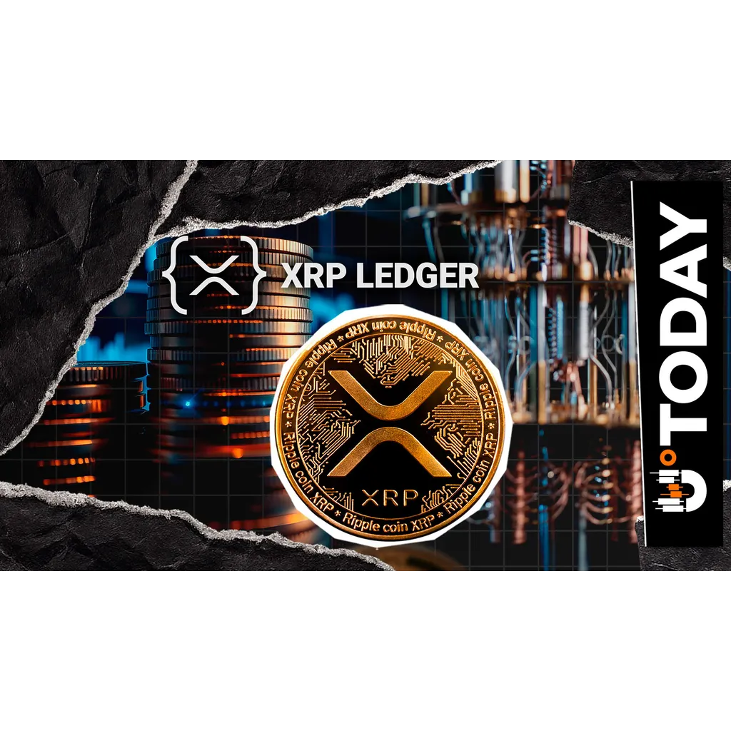 How Much XRP Is Quantum-Safe as of April 2026? Top XRPL Contributor Breaks It Down How Much XRP Is Quantum-Safe as of April 2026? Top XRPL Contributor Breaks It Down