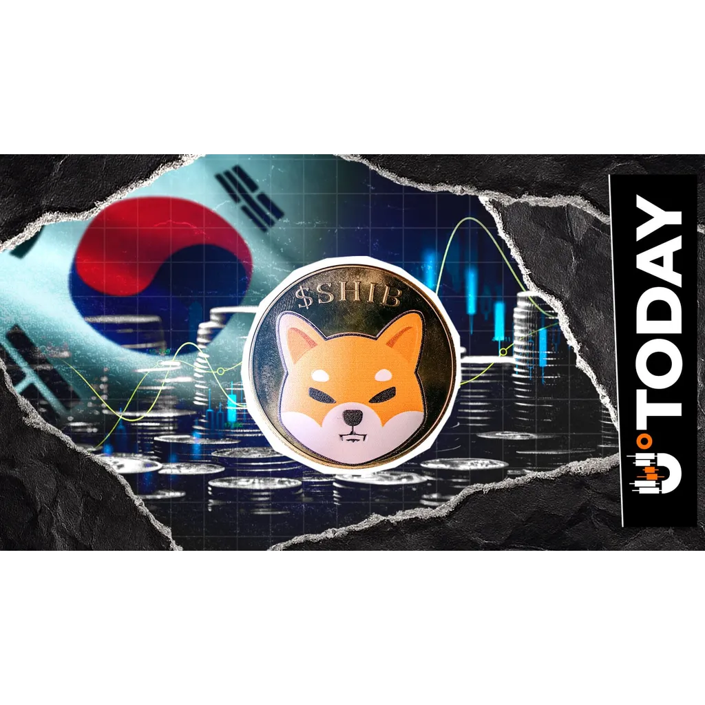 Large Shiba Inu withdrawal from Korean exchange leaves destination unclear Large Shiba Inu withdrawal from Korean exchange leaves destination unclear
