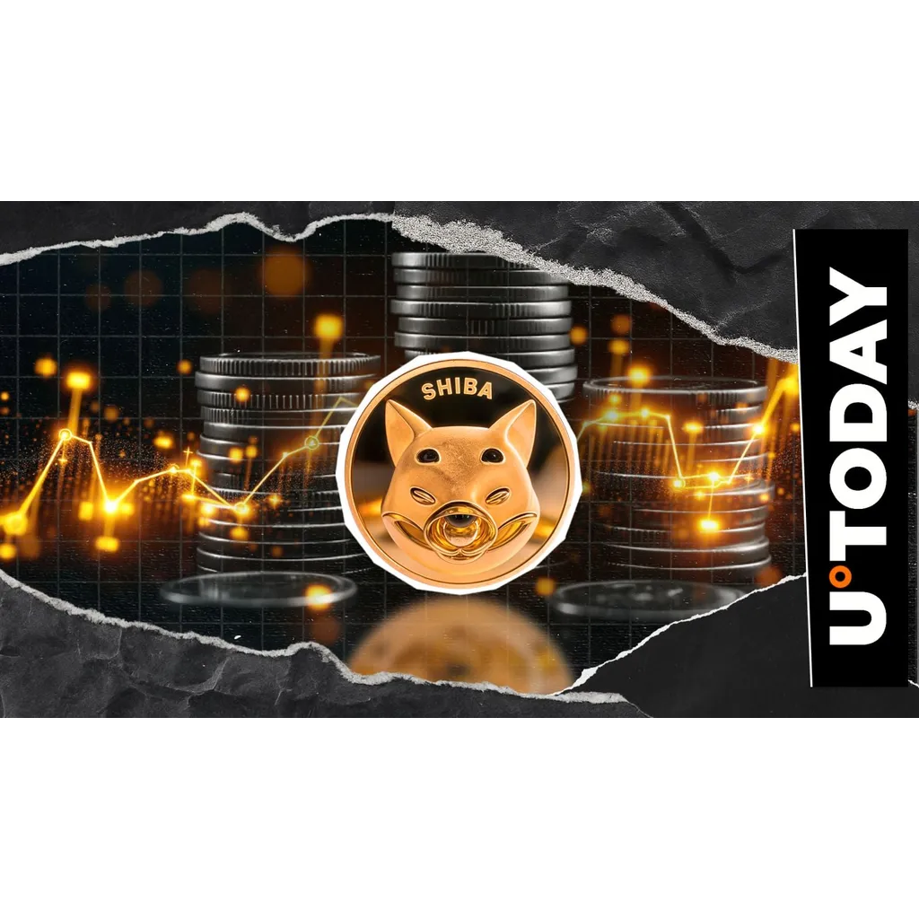 Binance delists Shiba Inu SHIB on October 15, reducing trading volume by 40 percent Binance delists Shiba Inu SHIB on October 15, reducing trading volume by 40 percent