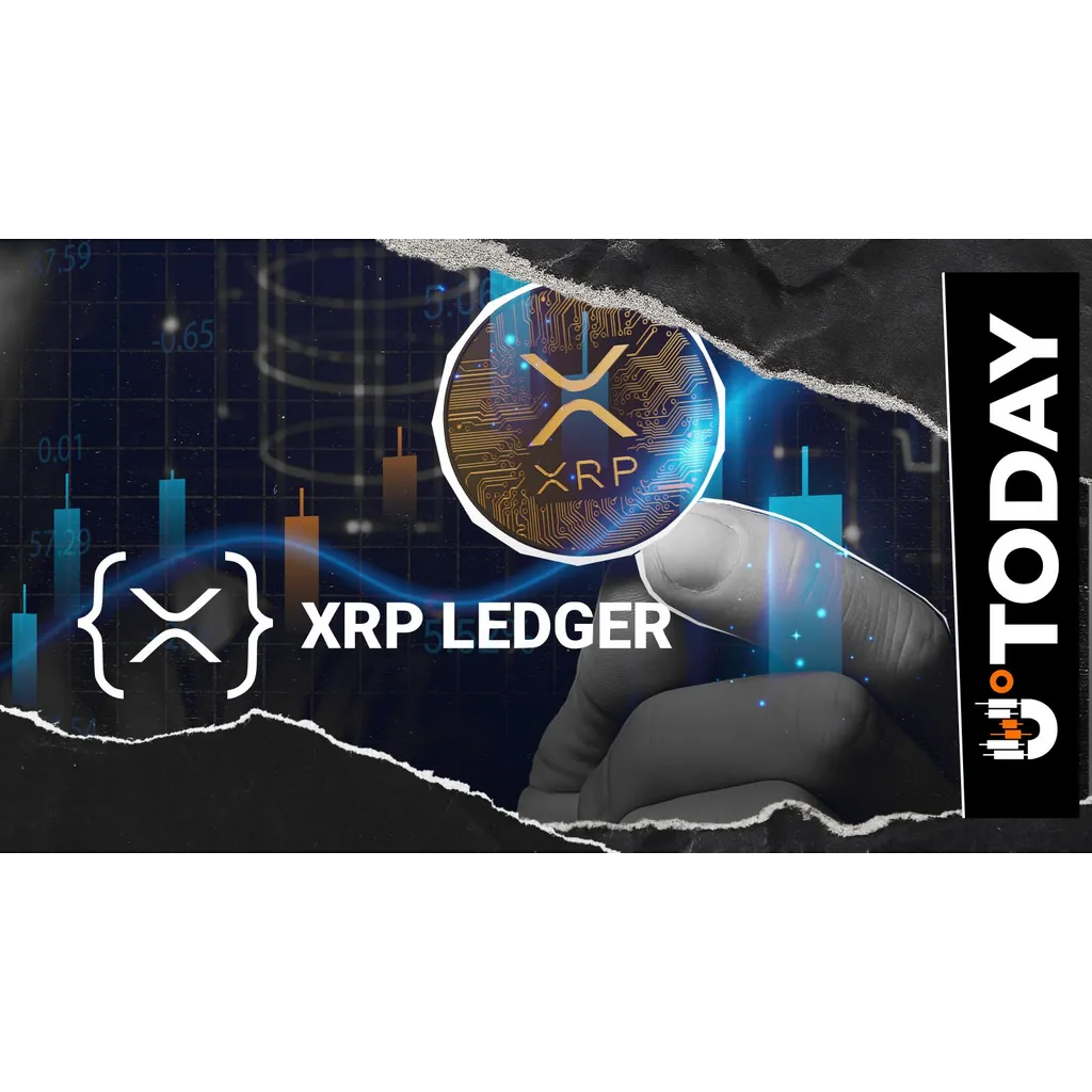 Bullish XRP Move Coming as XRPL Millionaires Resurface, Says Pro-Crypto Lawyer Bullish XRP Move Coming as XRPL Millionaires Resurface, Says Pro-Crypto Lawyer