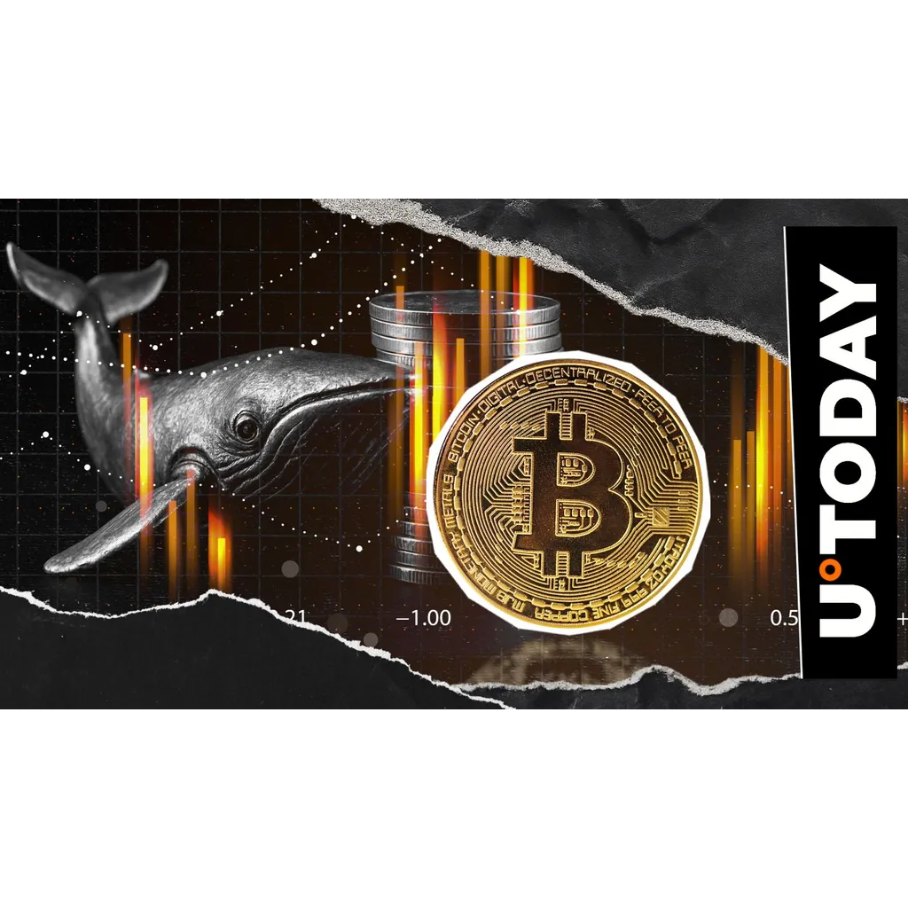 Satoshi-era Bitcoin whale returns after 14 years, profits .6 million from 1,000 BTC transfer Satoshi-era Bitcoin whale returns after 14 years, profits .6 million from 1,000 BTC transfer