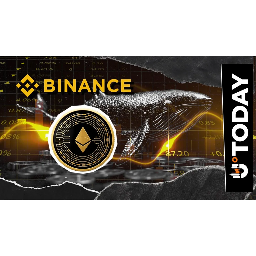 Mysterious Whale Buys Ethereum: 32,007 ETH Leaves Binance Mysterious Whale Buys Ethereum: 32,007 ETH Leaves Binance