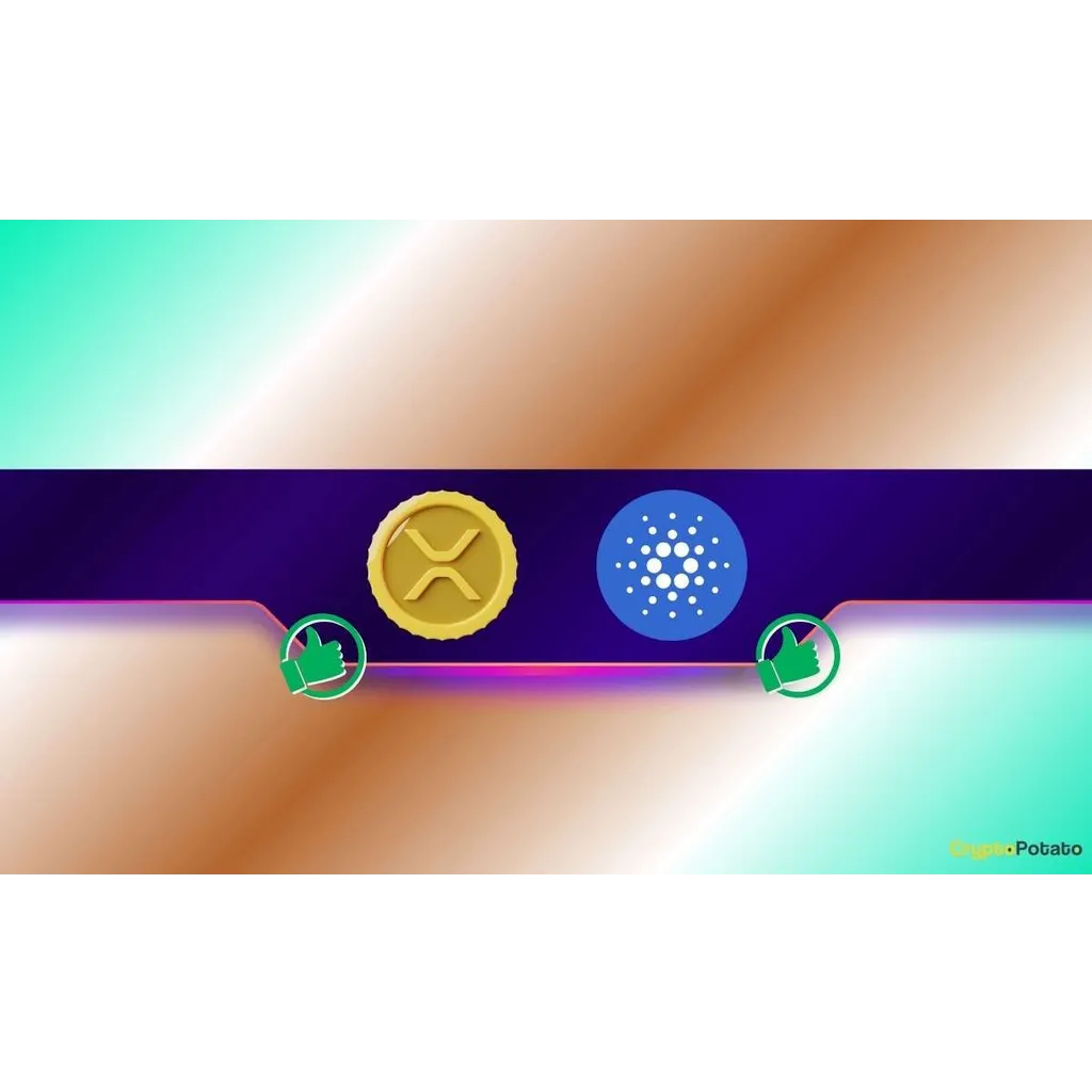 Cardano Founder Hoskinson Acknowledges Ripple and XRP Community Cardano Founder Hoskinson Acknowledges Ripple and XRP Community