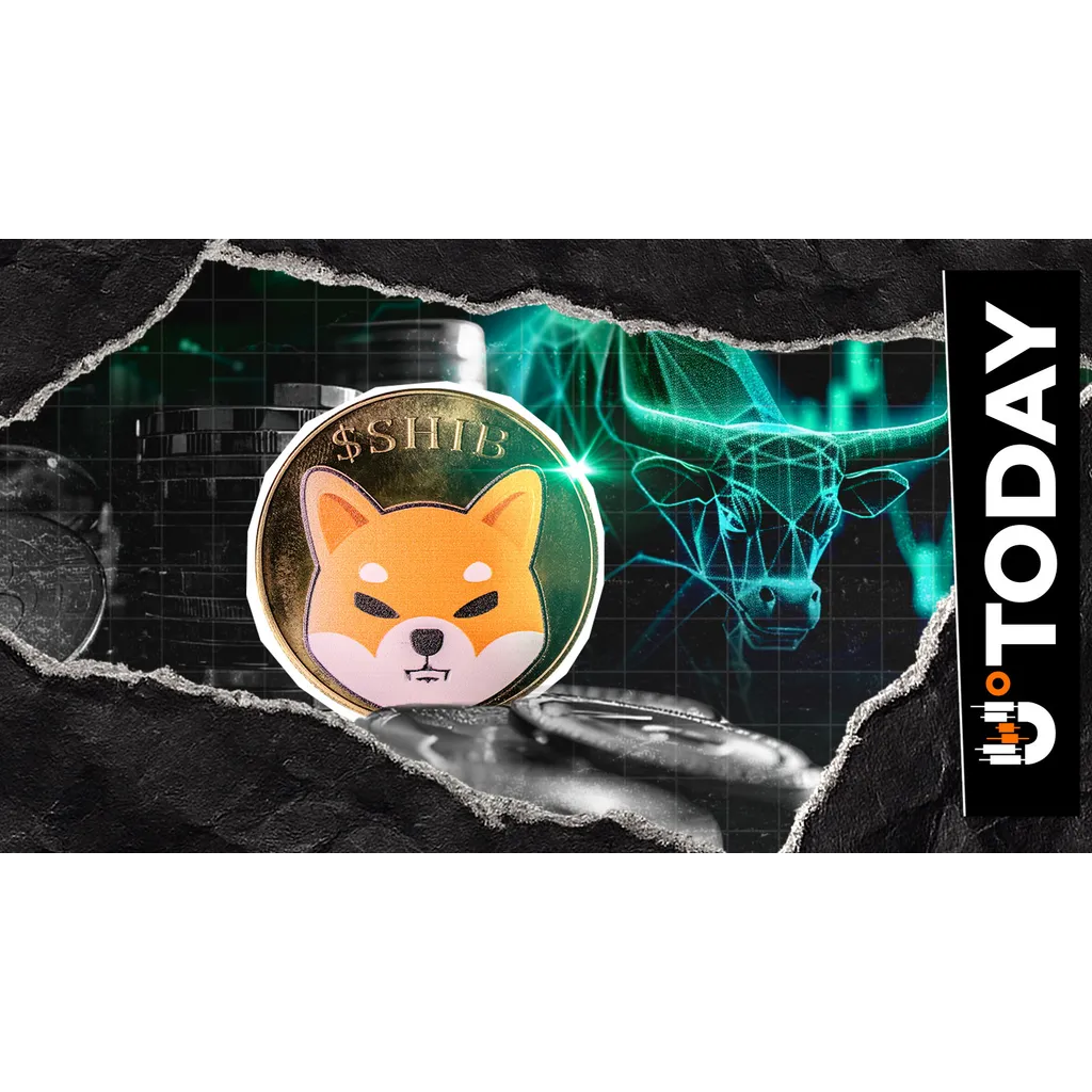 Shiba Inu Sees New Year Exchange Exodus: 204,000,000,000 in 24 Hours Shiba Inu Sees New Year Exchange Exodus: 204,000,000,000 in 24 Hours