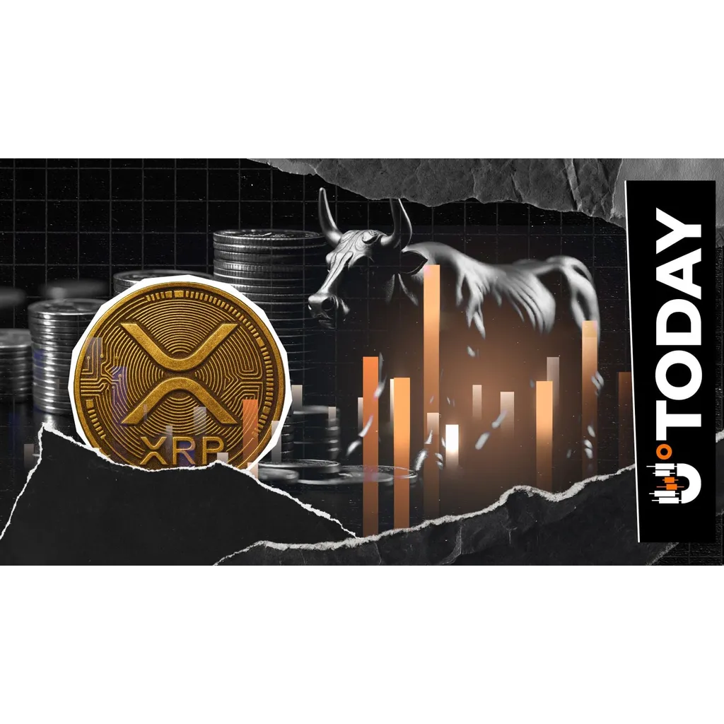 XRP Bulls Hit Hard With 1,058% Liquidation Imbalance XRP Bulls Hit Hard With 1,058% Liquidation Imbalance