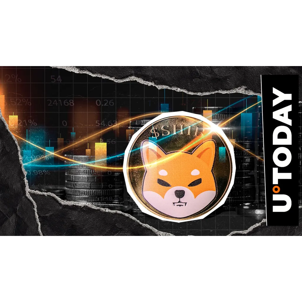 Shiba Inu faces market test with Shibarium hack uncertainty and potential crash Shiba Inu faces market test with Shibarium hack uncertainty and potential crash