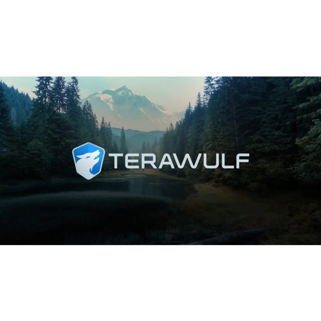 Google secures 8% stake option in Bitcoin miner TeraWulf with .8B deal Google secures 8% stake option in Bitcoin miner TeraWulf with .8B deal