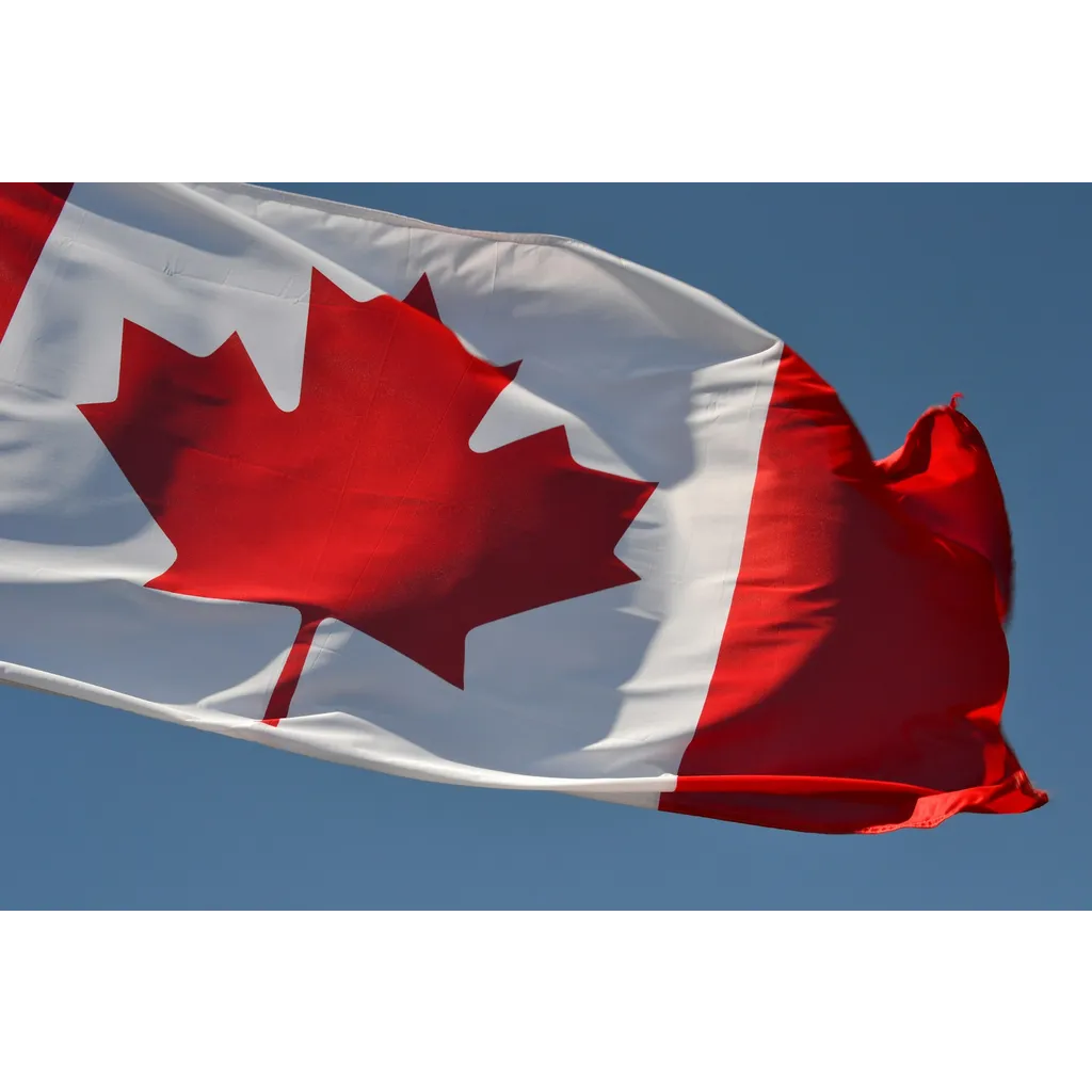 Canadian cryptocurrency firms evade anti-money laundering regulations amid oversight struggles Canadian cryptocurrency firms evade anti-money laundering regulations amid oversight struggles