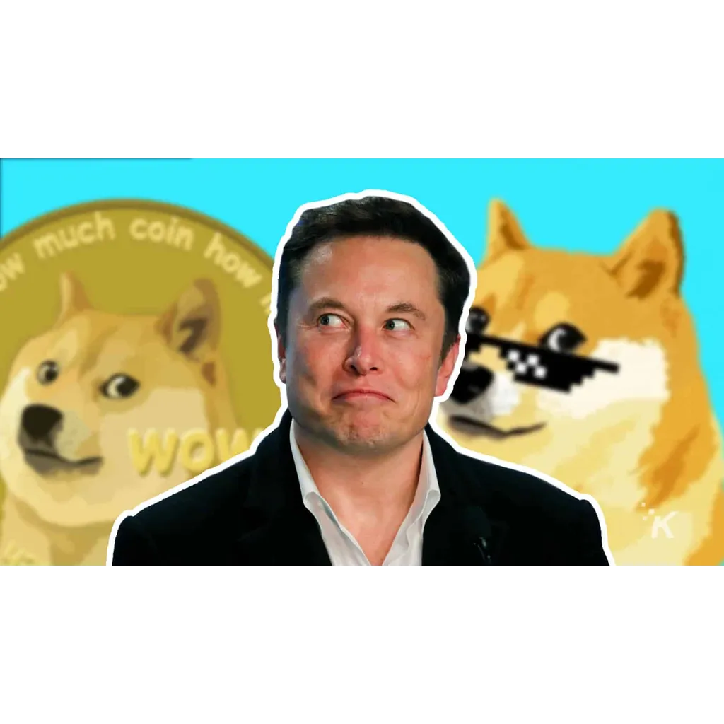 Has Elon Musk Completely Abandoned Dogecoin? Here’s The Last Time He Tweeted About It Has Elon Musk Completely Abandoned Dogecoin? Here’s The Last Time He Tweeted About It