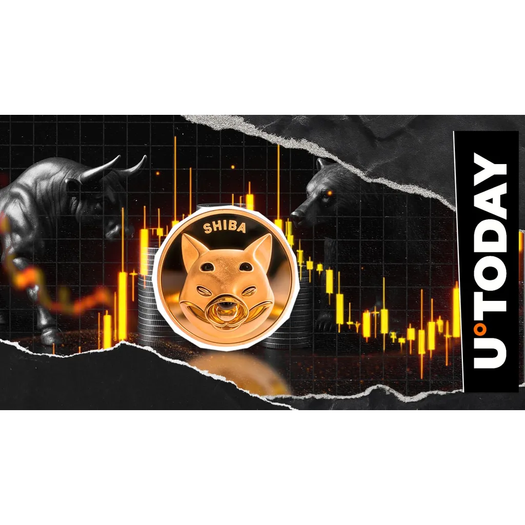 Shiba Inu faces two bullish and one bearish market outlook scenarios Shiba Inu faces two bullish and one bearish market outlook scenarios